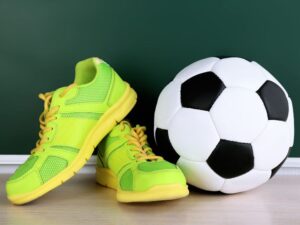 Unleashing the Potential: A Deep Dive into Dog Sports Gear