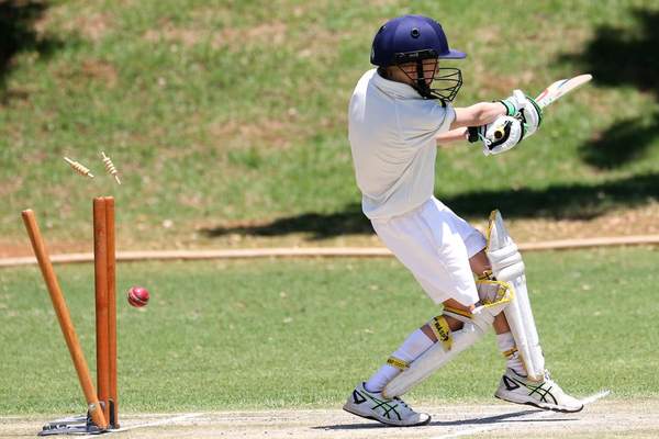 lbw rule in cricket