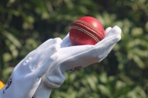 T20 Cricket Rules: How Twenty20 Matches Work
